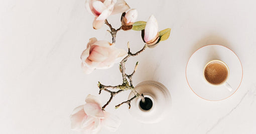 A photo of spring flowers with sliver grey background