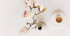 A photo of spring flowers with sliver grey background