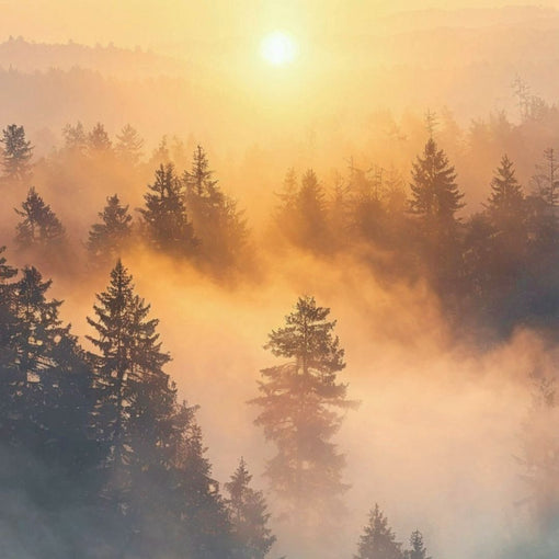 News: Year End Update: Community, Creativity, Growth - Cantoo City