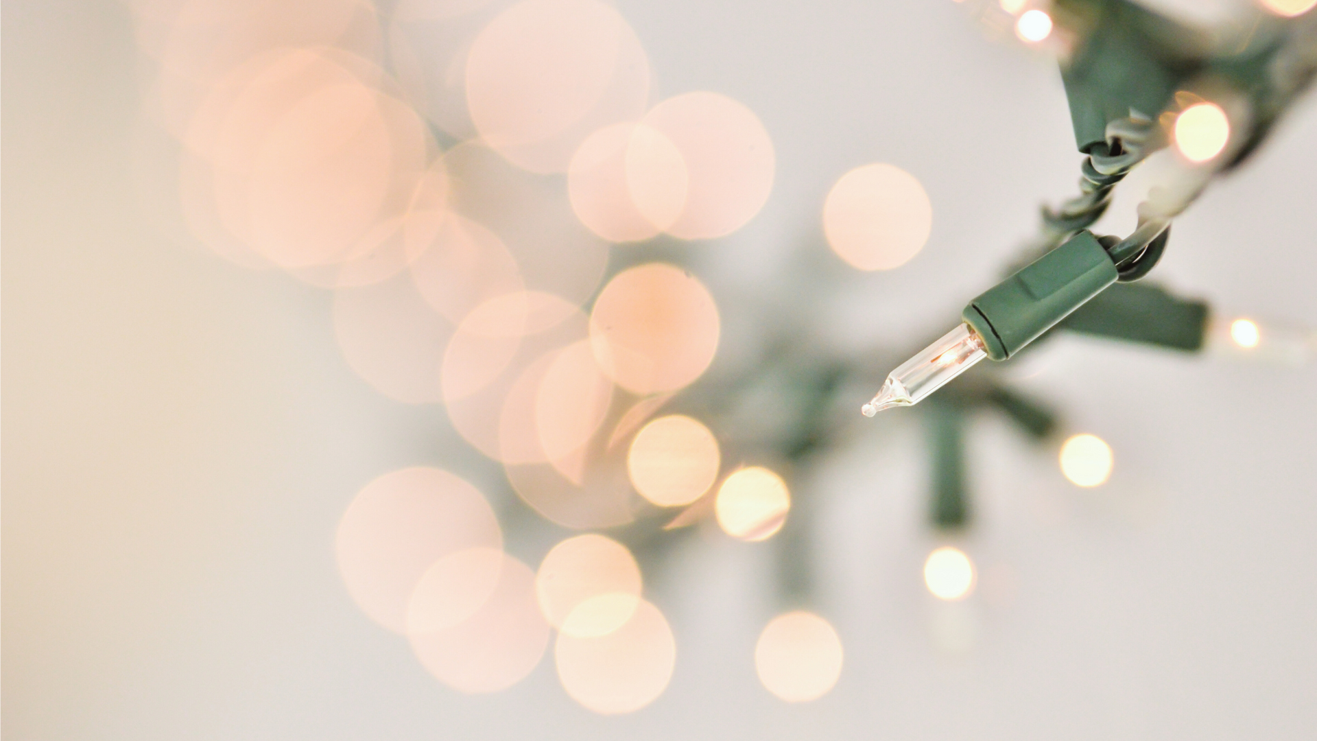 Close-up of a string of Christmas lights with a blurred background