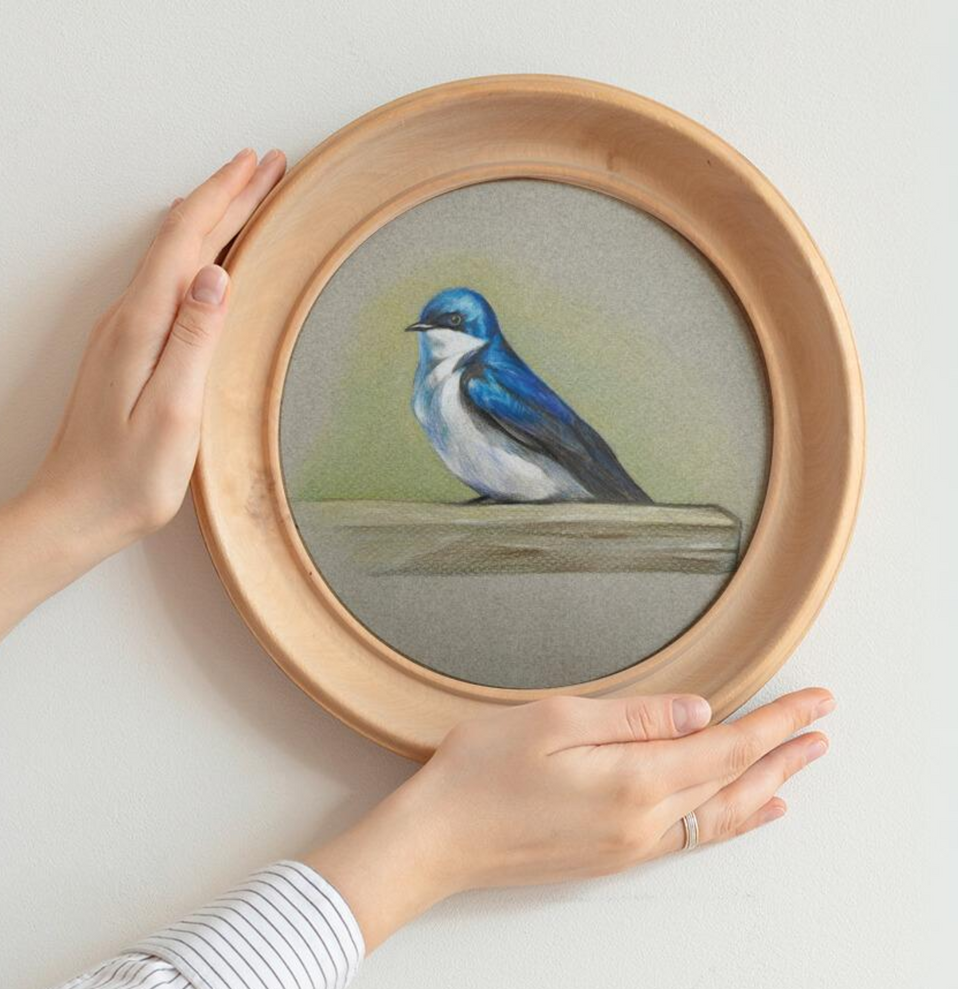 Pencil drawing of a blue jay bird with round wooden frame.