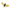 Honey Bee - DIY Kit