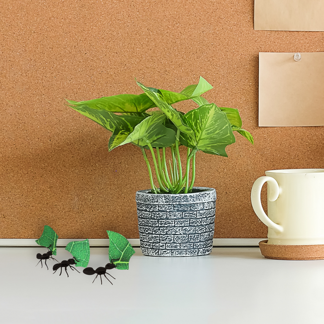 Leafcutter Ants - DIY Art Kit