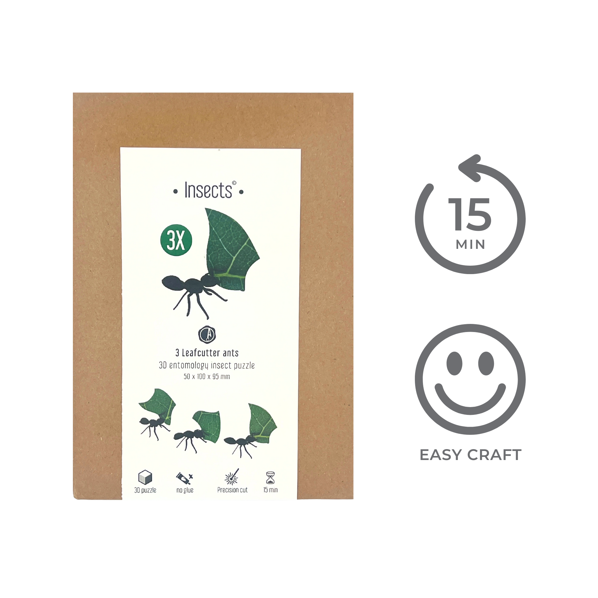 Leafcutter Ants - DIY Kit