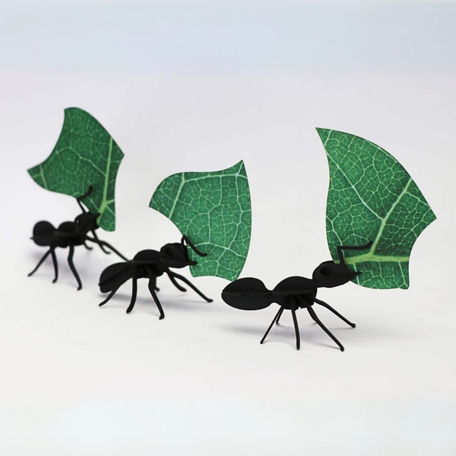 Leafcutter Ants - DIY Art Kit