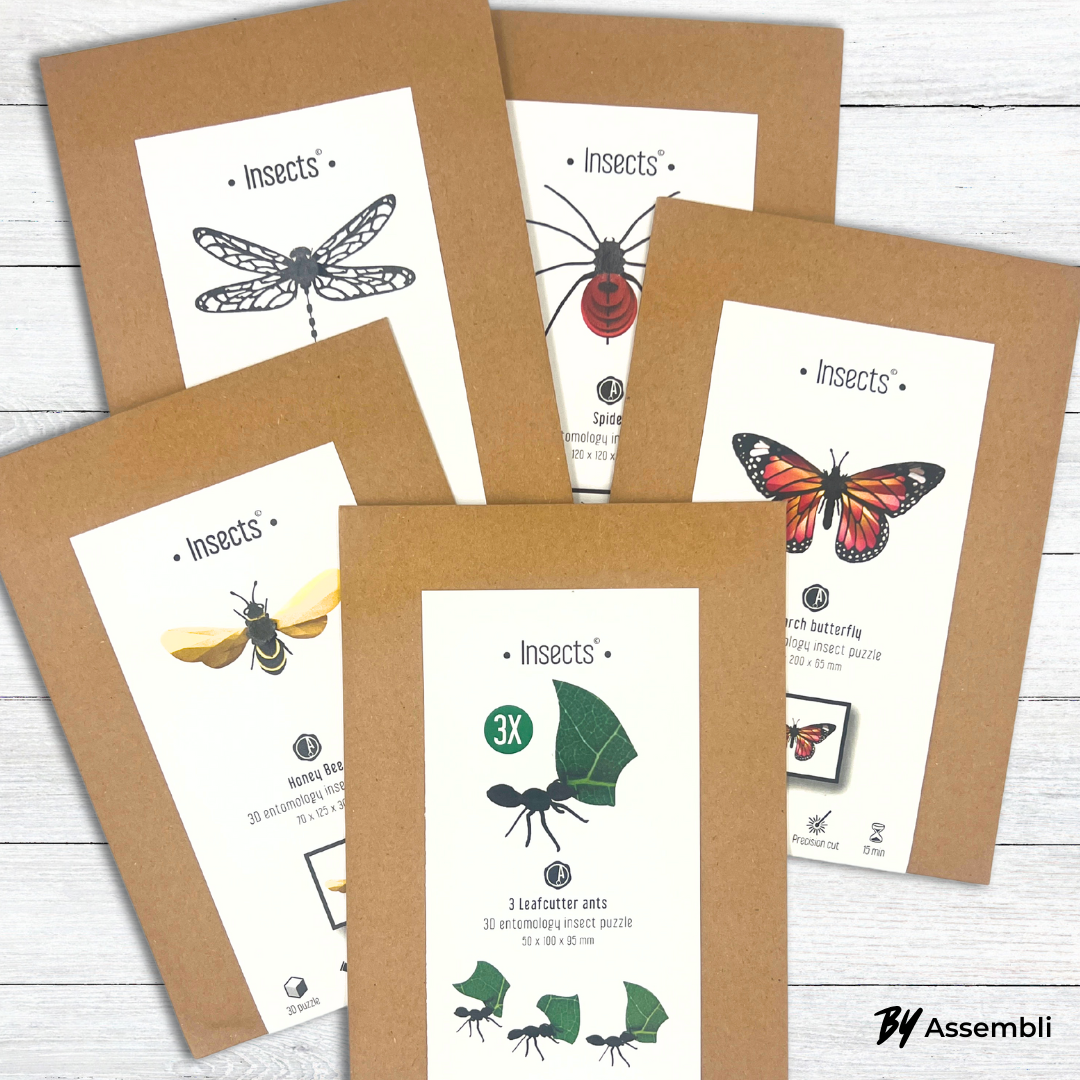 Monarch Butterfly - DIY Art Kit