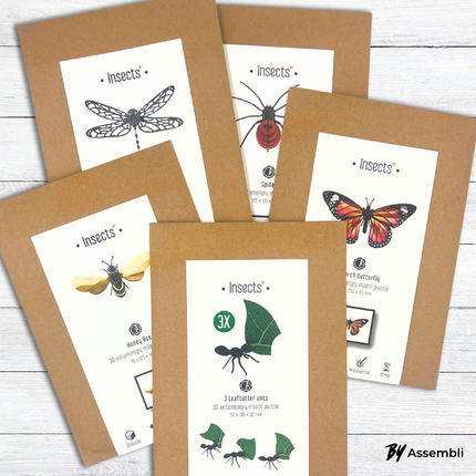 Spider DIY Art Kit – 3D Paper Spider