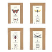 Four framed illustrations of insects with descriptive text on a white background.