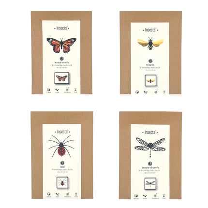 Four framed illustrations of insects with descriptive text on a white background.