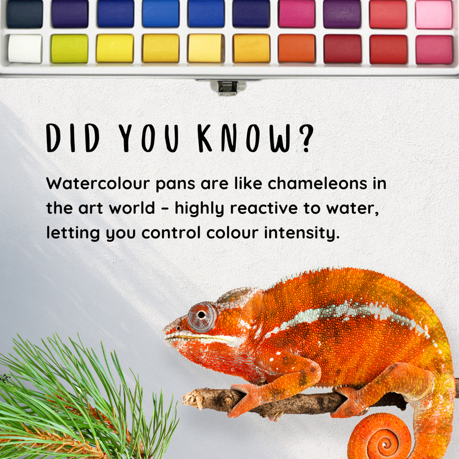 CantooCity 50 Colour Watercolour Set - Cantoo City