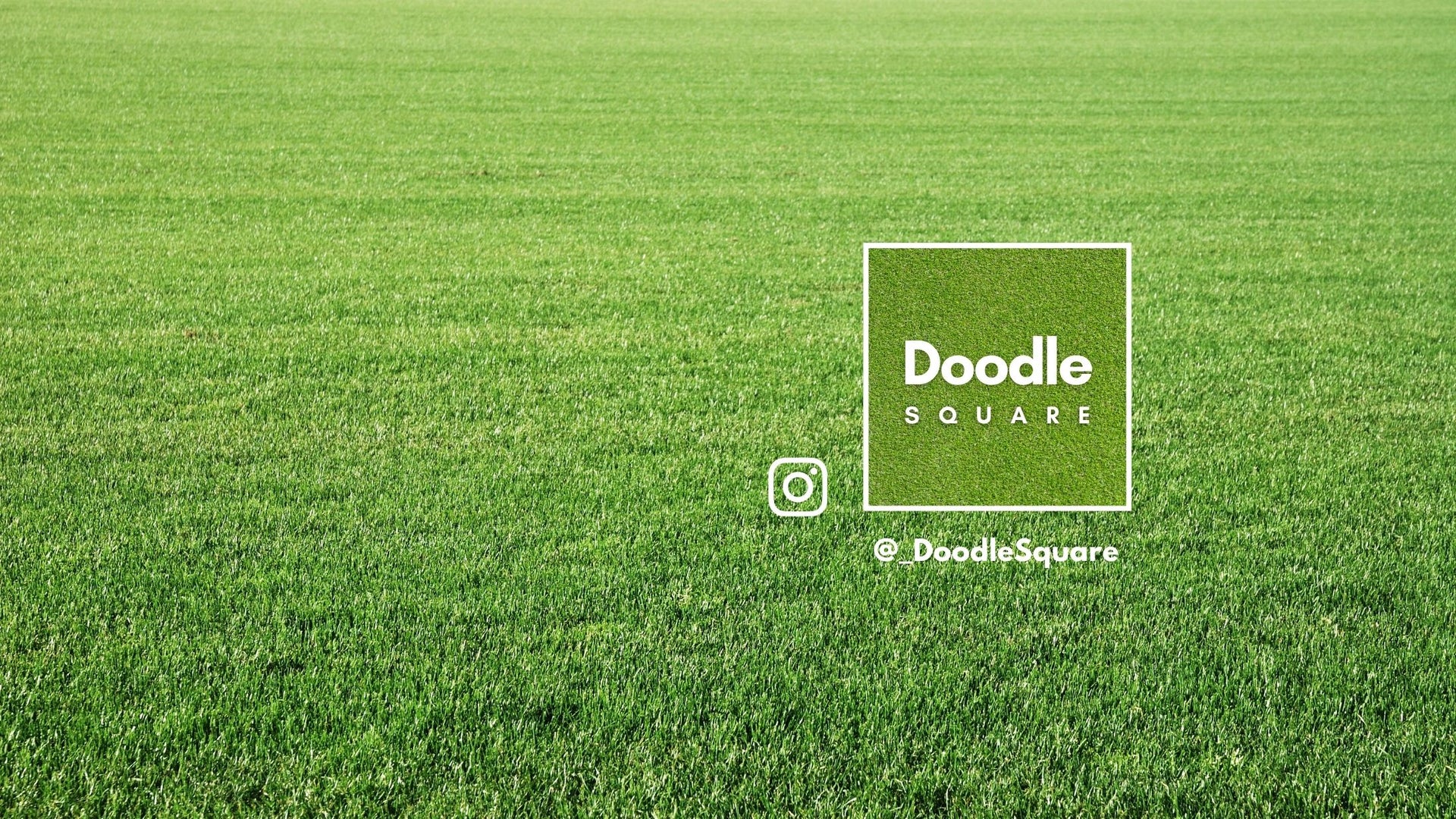Green field with Doodle Square logo in the corner