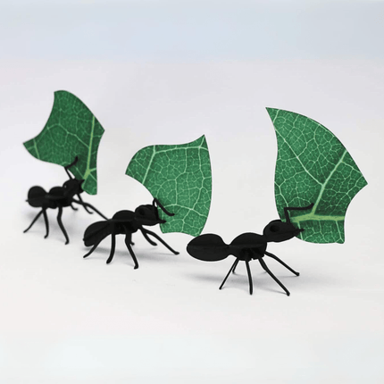 Leafcutter Ants - DIY Art Kit