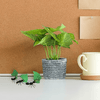 Leafcutter Ants - DIY Art Kit