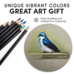Sketcher Colored Drawing Pencils (Box of 72) - Cantoo City - Drawing Pencils -  - Cantoocity