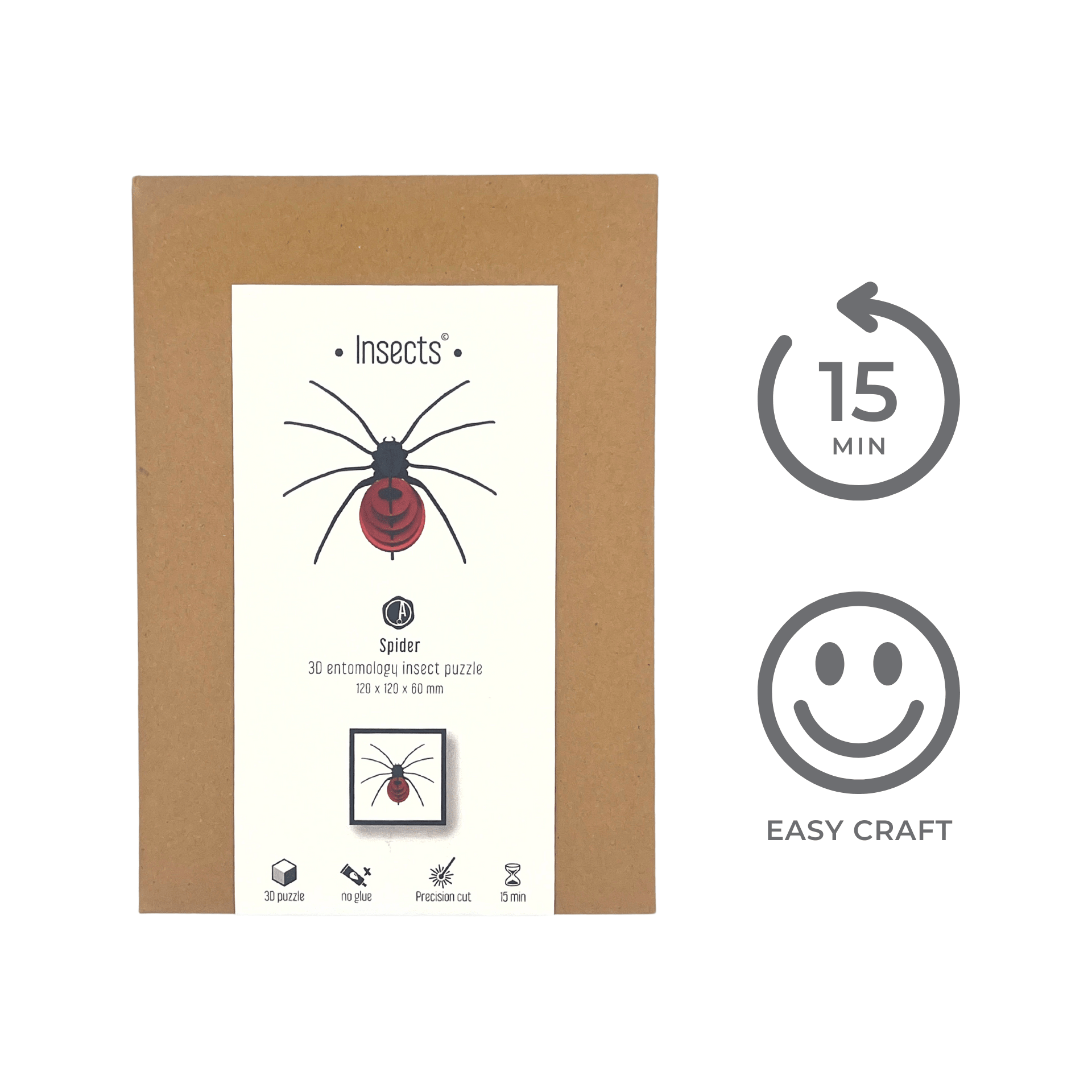 Spider DIY Art Kit – 3D Paper Spider - Cantoo City - DIY Kit -  - Cantoocity