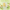 Illustrations of various popsicles with text descriptions on a green background, featuring the Doodle Square logo.