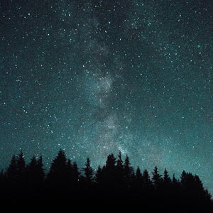 Starry night sky with Milky Way over a forest silhouette